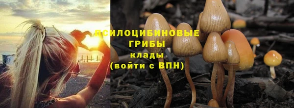 a pvp Аркадак