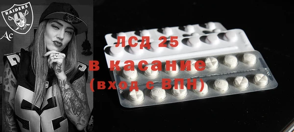ПСИЛОЦИБИНОВЫЕ ГРИБЫ Арсеньев