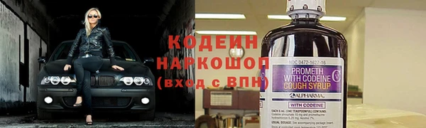 a pvp Аркадак
