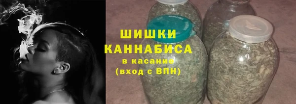 ПСИЛОЦИБИНОВЫЕ ГРИБЫ Арсеньев