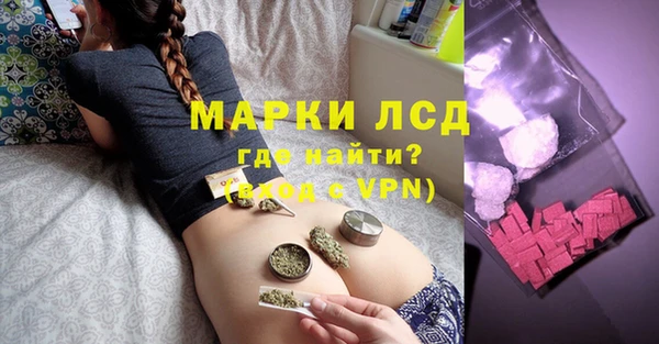 a pvp Аркадак