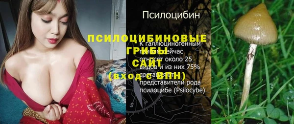 ПСИЛОЦИБИНОВЫЕ ГРИБЫ Арсеньев