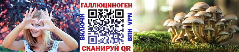 Псилоцибиновые грибы мицелий Саров