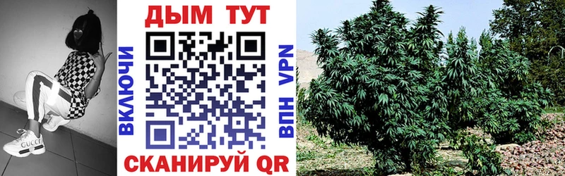Шишки марихуана LSD WEED  купить закладку  Саров 